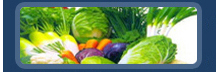ISO22000